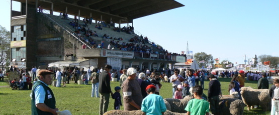 Fiesta de la Producción